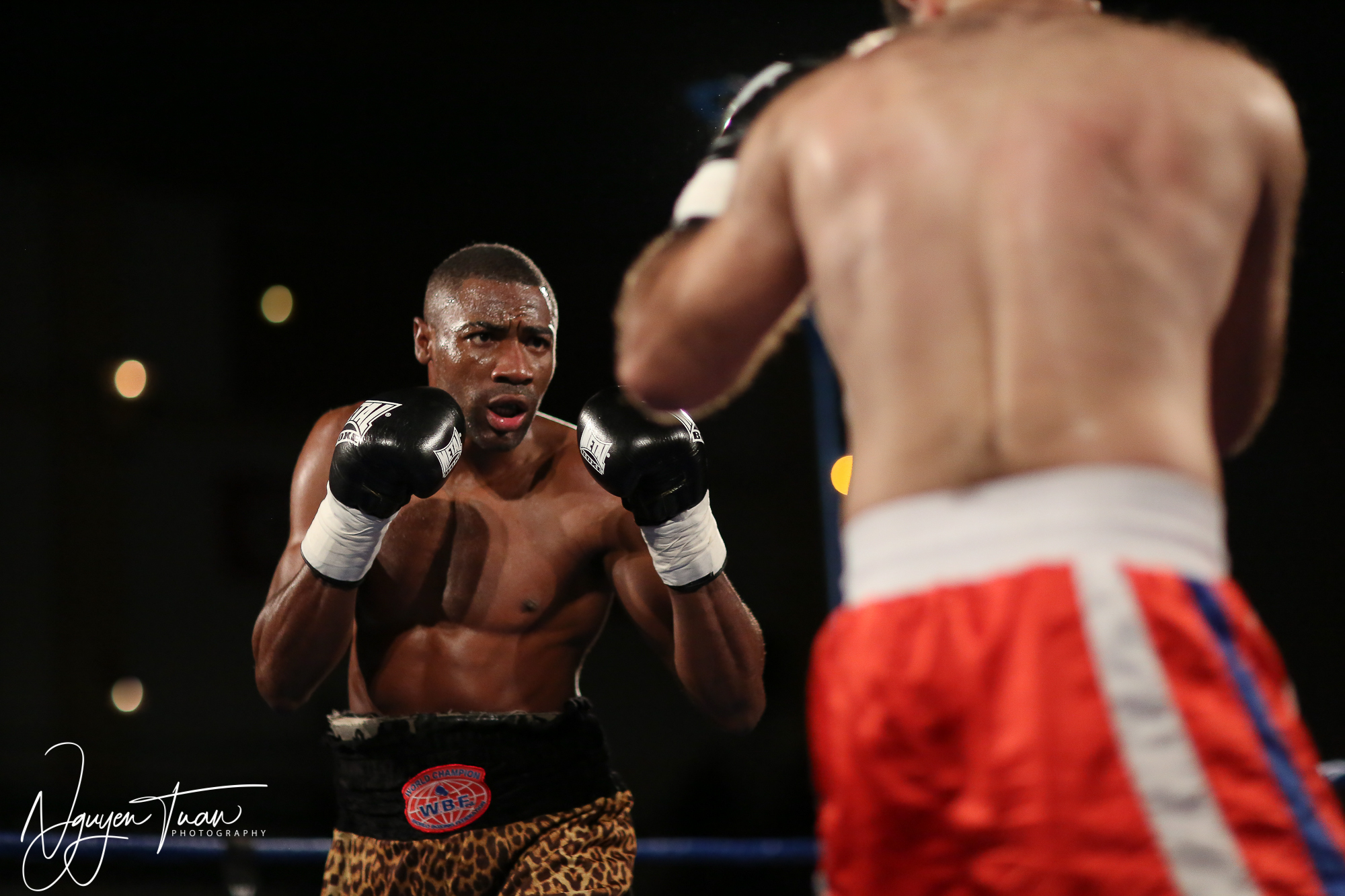 Gala Boxe  24112018   37821